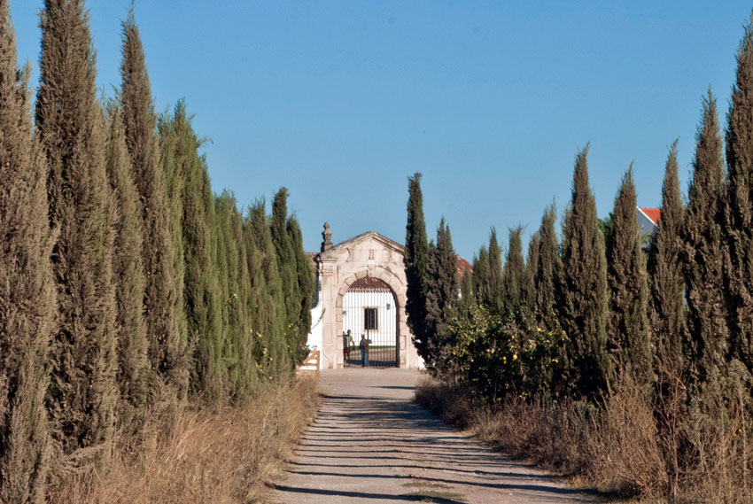 Entrada